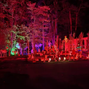Cowper Street spook yard grows out of a family tradition